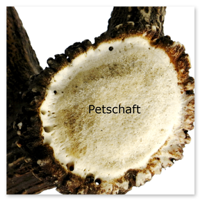 Petschaft (Abbruchseite an der Geweihstange) ist ein individuelles Merkmal